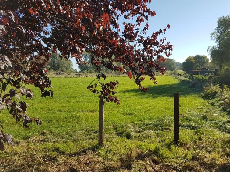 De Goeferdij Vakantiewoning ヘラールツベルヘン エクステリア 写真